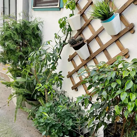 Matija דירה נובי סאד